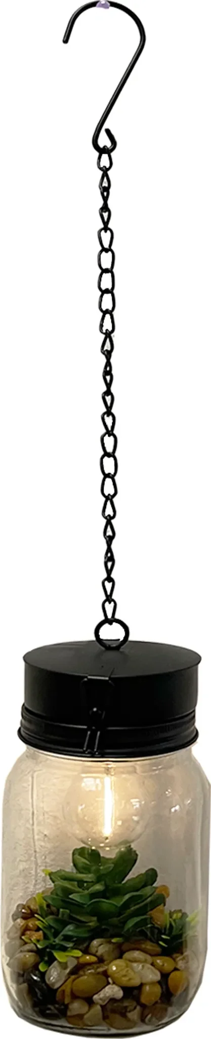 LED Deko-Hängelampe aus Glas – mit Sukkulente